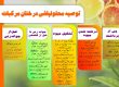 توصیه مصرف کودی مرکبات