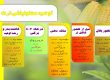 توصیه مصرف کودی ذرت